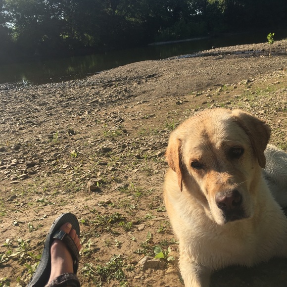 Meet your Posher, Anna - Picture 1 of 1